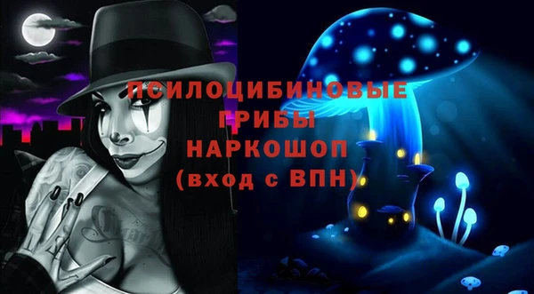 дмт Магас