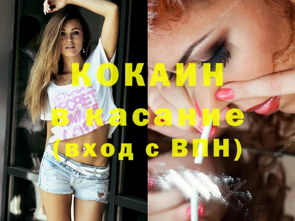крисы Липки