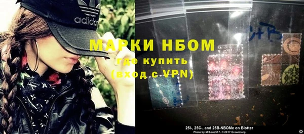 крисы Липки