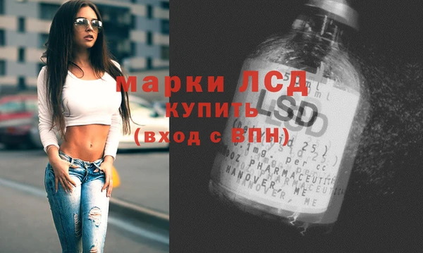 дмт Магас