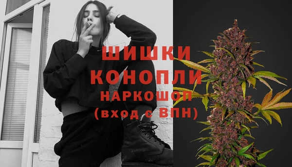 крисы Липки