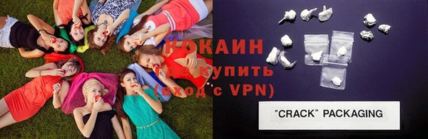 крисы Липки